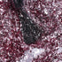 Gel Polish • 795 Rosy Reflection (semi-transparent) • 21FREE • The Gel Collection™